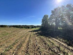 Vente terrain 1800 m² Uglas (65300)