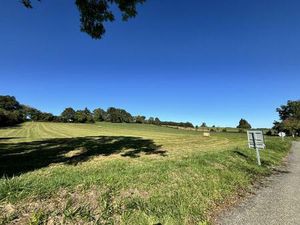 Vente terrain 3710 m² Uglas (65300)