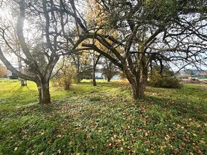 Secteur Arches/Archettes TERRAIN constructible 2700 m2 7 mn d' EpinalTERRAIN 2700 m^2 AVEC