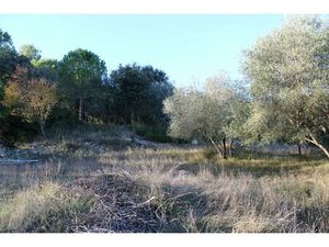 EXCLU UCHAUD - Vente Terrain constructible