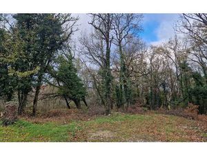 Terrain Chasteaux m² T- à vendre  26 000 €