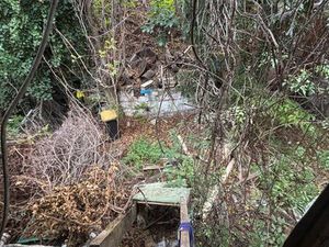 2 ou appartements avec terrasse et jardin