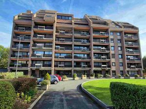 Gilly - Appartement 1 chambre