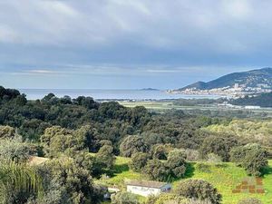 IMMOBILIER BASTELICACCIA NERI