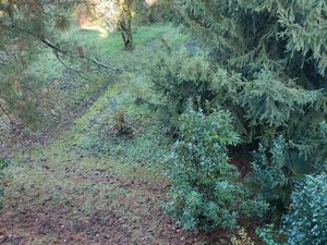 Maison 200m2 avec jardin pour 2026