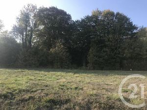 Terrain à vendre - 1684 m2 - Esternay - 51 - CHAMPAGNE-ARDENNE