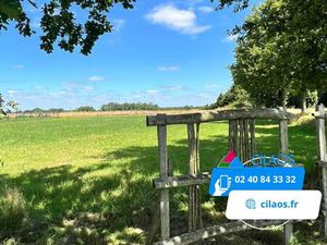 Vente terrain 975 m² Montaigu-Vendée (85600)