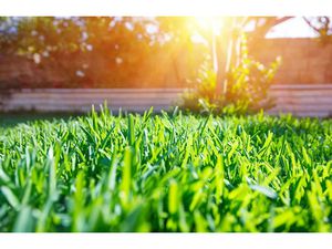 Vente terrain 500 m² à Brive-la-Gaillarde (19100)  45 000 €