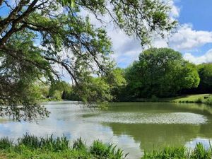 Recherche etang   coin d’eau
