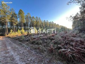 Terrain 11400 m² SAINT-LEGER-DE-BALSON