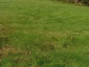 Vente terrain 290 m² à La Plaine-sur-Mer (44770)  99 100 €