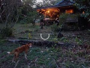 Location maison en bois