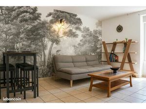 Appartement T2 meublé Millau