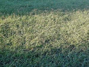 Vente terrain 387 m² à Argeles-sur-mer (66700)  201 300 €