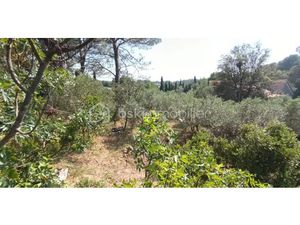 Vente terrain 1001 m² à Pélissanne (13330)  250 000 €