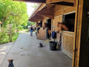 Propriété d’exception avec deux maisons et installations équestres complètes