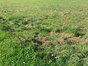 Vente Terrain à Roscoff (29680) : à vendre / Roscoff