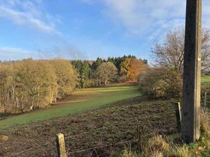 Grandes parcelles avec zone à bâtir à Lorcé (Chession)