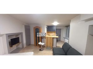 Location appartement 1 pièce 23.8 m² à Saint-Flour (15100)  314 €