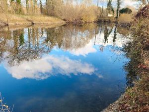 Etang a vendre 8838 M2