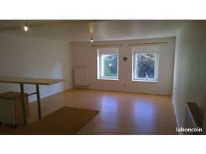 F2 de 55m² Epinal centre avec jardin en terrasses