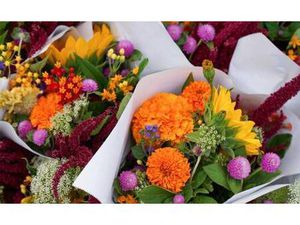 CABINET DAVID DESCUBES