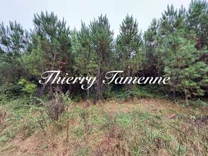 Terrain à vendre
