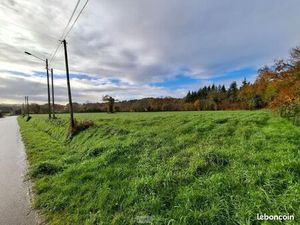 Terrain 4 893 m² Saint Nicolas Du Pelem