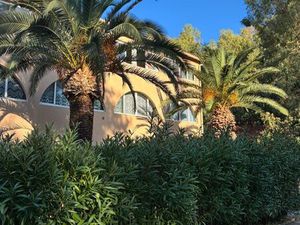 À louer à l’année appartement à Calvi