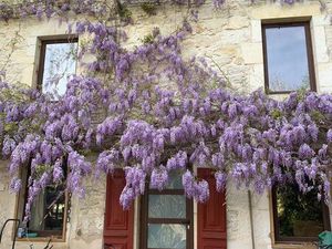 Appartement de plain-pied à Magnieu
