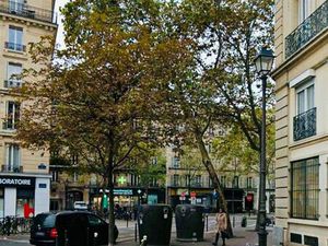 Viager- pour investisseurs