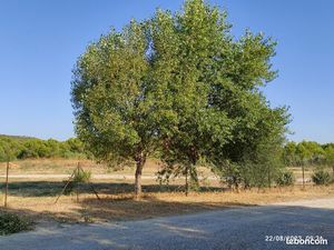 A louer emplacement pour camion aménagé ou camping car