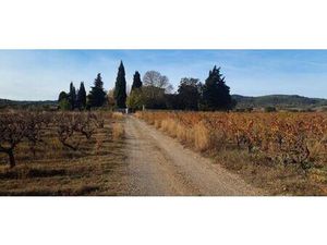 À Vendre Superbe maison de maître au coeur des vignes à Jonquières (Hérault)