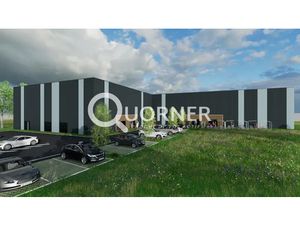 MURS COMMERCIAUX LOUES