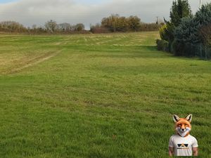 TERRAIN A BATIR FONTAINE MACON