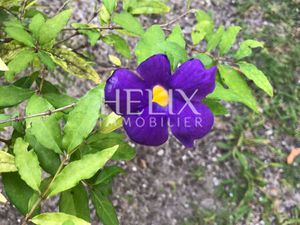 Magnifique appartement 2 pièces 'DPE lettre C ' entièrement refait à neuf à Marly-le-Roi.