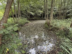 Vente terrain 5457 m² Vailly-sur-Aisne (02370)