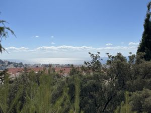 Vente appartement 1 pièce 24 m² Cannes (06400)