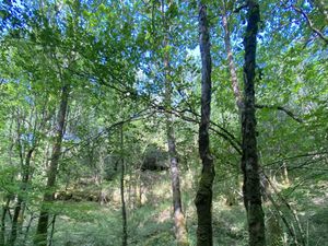 Achat Terrain 6 290m² BUBRY 56310