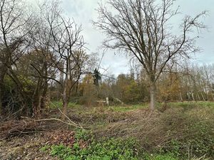 Bosgrond 10.950 m² te HAACHT