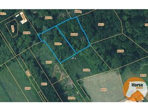 OORDEGEM – Bos van 38a 10ca