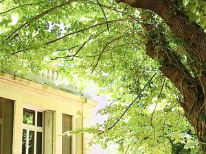 NOUVEAU  RARE  PROPRIÉTÉ 7 5 HA AVEC DEMEURE D'INSPIRATION