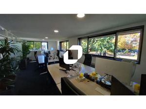 Location Bureau Villeneuve D Ascq 59650