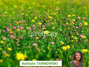 Vente Terrain à Angoulins (17690) : à vendre / 319m² Angoulins