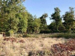 Terrain à bâtir à Saint-Genès-de-Lombaud (33670)