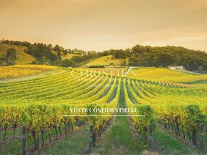 Belle maison de village avec gîte  grand jardin  cuisine d’été et piscine