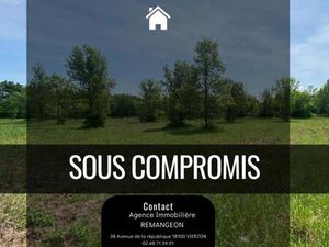 Achat Terrain 3 250m² VIERZON 18100