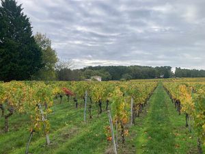 Vente terrain 1500 m² Saint-Sauveur-de-Puynormand (33660)