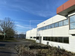 LOCAL D'ACTIVITE - ENTREPÔT A LOUER