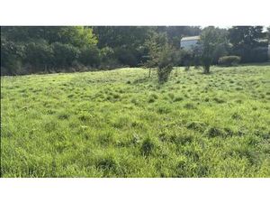 Vente terrain neuf 731m2 Saint-Maximin-la-Sainte-Baume - 145000 € - Surface Privée